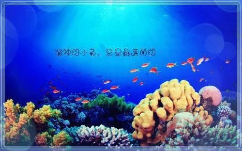 因果台云容沧澜小说免费阅读