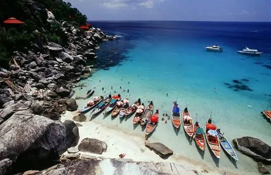 中国游客泰国遭砍行凶者是否落网？