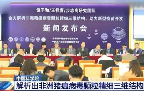 中国解析猪瘟病毒：这到底是怎么回事？