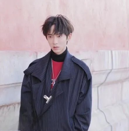 黄新淳生日几月几日年龄多大 黄新淳是几岁出道的