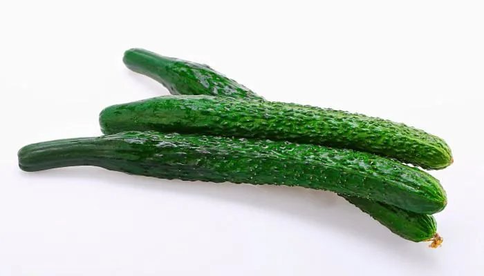 立秋节气吃什么传统美食 立秋时节要吃哪些传统食物