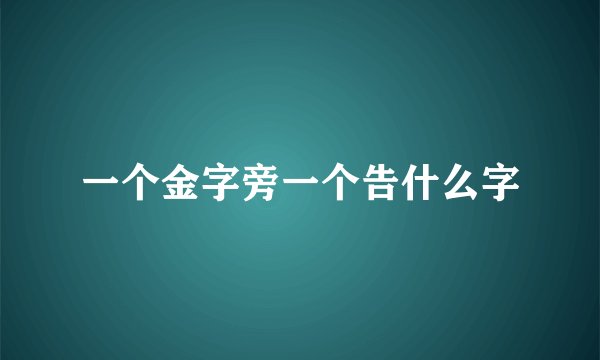 一个金字旁一个告什么字