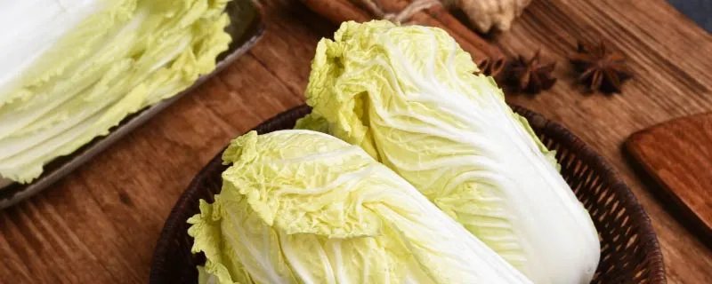 珍珠翡翠白玉汤是指