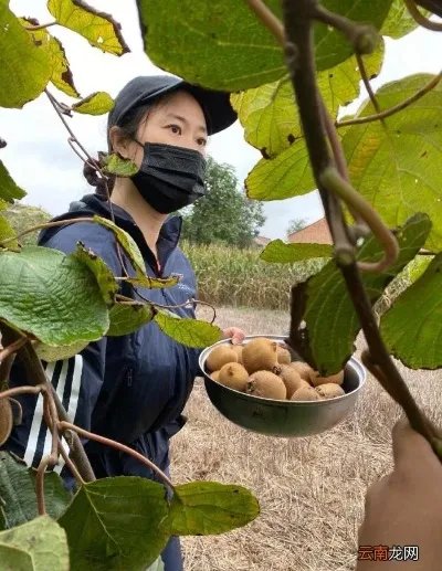网红鼻祖芙蓉姐姐近况 芙蓉姐姐以前的照片