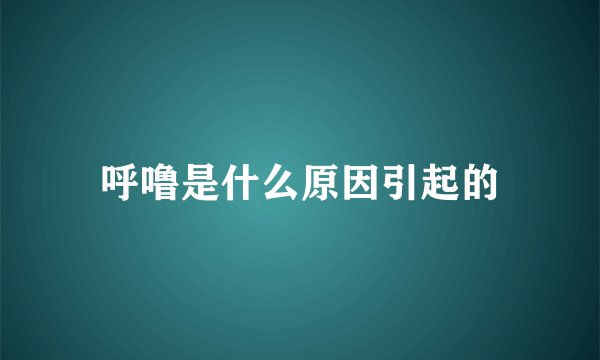 呼噜是什么原因引起的