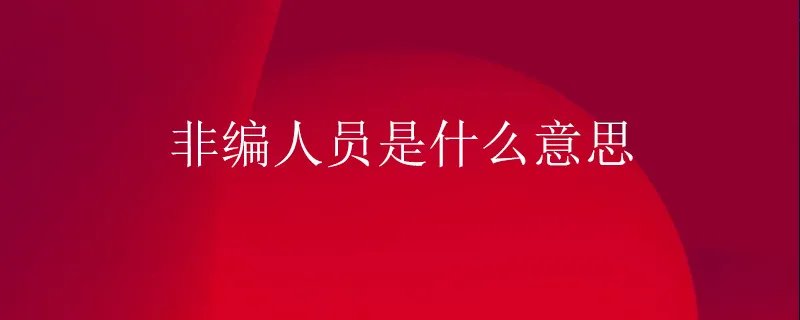 非编人员是什么意思