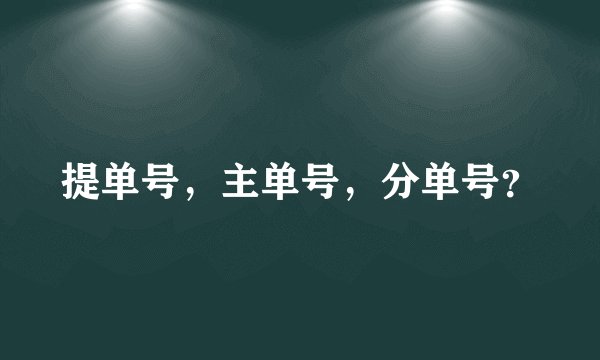 提单号，主单号，分单号？