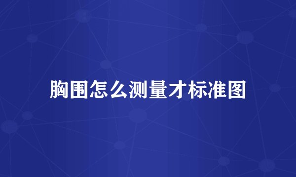 胸围怎么测量才标准图
