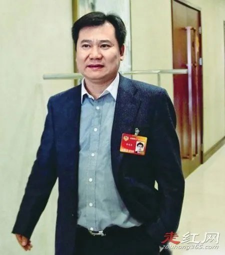 张近东是怎么发家的 老婆陈怡资料近照长什么样