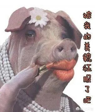 只有嘴巴好看是什么体验?