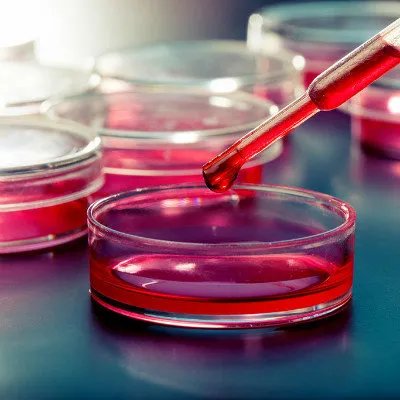 丁型病毒性肝炎有哪些危害？