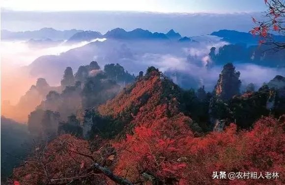 到哪里旅游最好玩？