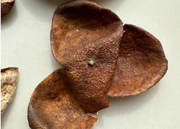 陈皮的功效与作用