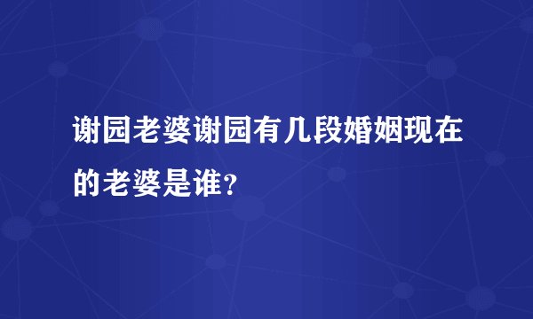 谢园老婆谢园有几段婚姻现在的老婆是谁？