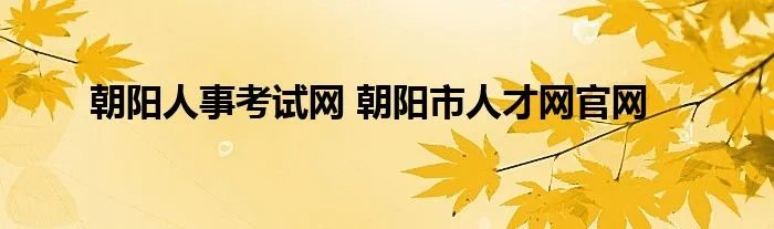 朝阳人事考试网 朝阳市人才网官网