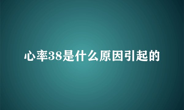 心率38是什么原因引起的