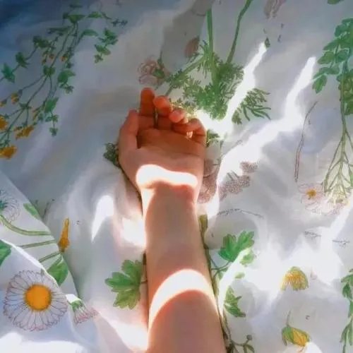 2020抖音超火朋友圈背景图分享