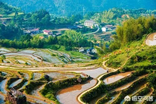 上联：黄山落叶松叶落山黄，下联怎么对？