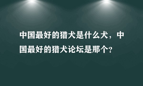 中国最好的猎犬是什么犬，中国最好的猎犬论坛是那个？