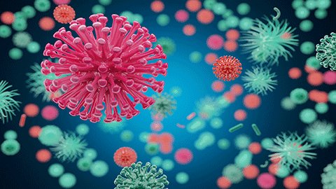 新冠阴性是什么意思