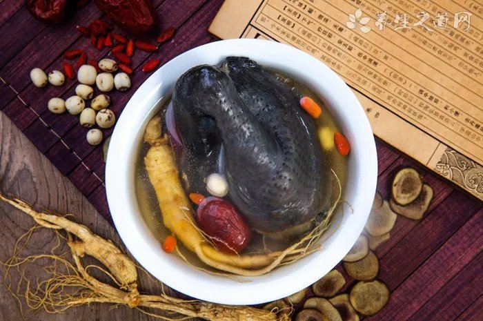 养生之道网普及中医养生知识