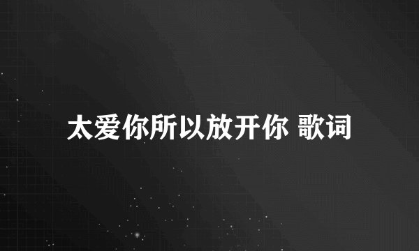 太爱你所以放开你 歌词