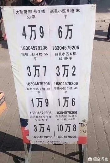 央视调查鹤岗“白菜价”楼房，几万一套的真相是什么, 你怎么看？