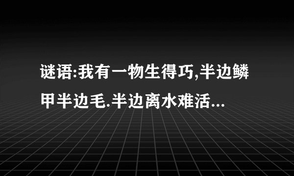 谜语:我有一物生得巧,半边鳞甲半边毛.半边离水难活命,半边入水命难保.
