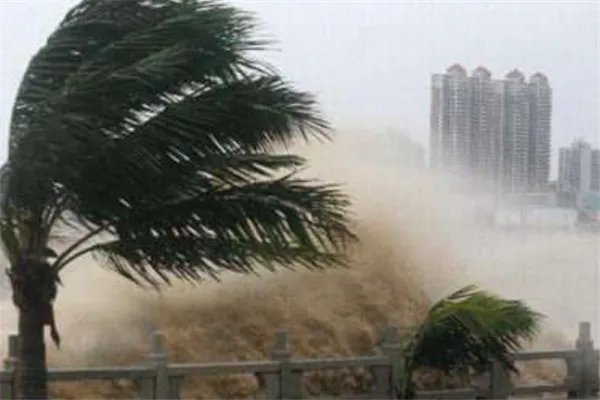 世界上最强台风排名:诺拉上榜 ,第四损失了6.94亿美元