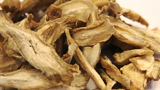 锁阳的功效与作用及食用方法