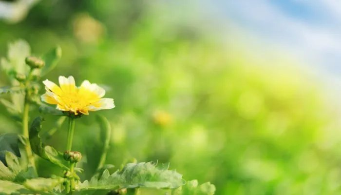 2022年五月黄道吉日一览表