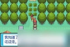 《口袋妖怪最后的火红》4.03金手指代码大全一览