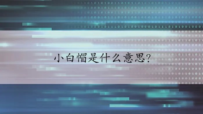 小白帽是什么意思？