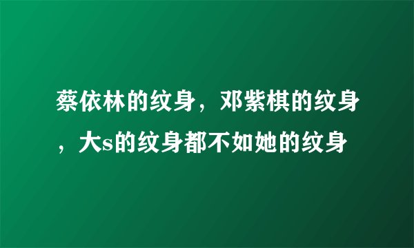 蔡依林的纹身，邓紫棋的纹身，大s的纹身都不如她的纹身