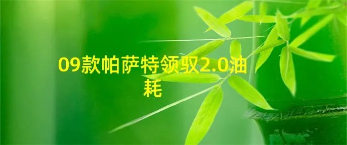 09款帕萨特领驭2.0油耗