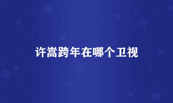 许嵩跨年在哪个卫视