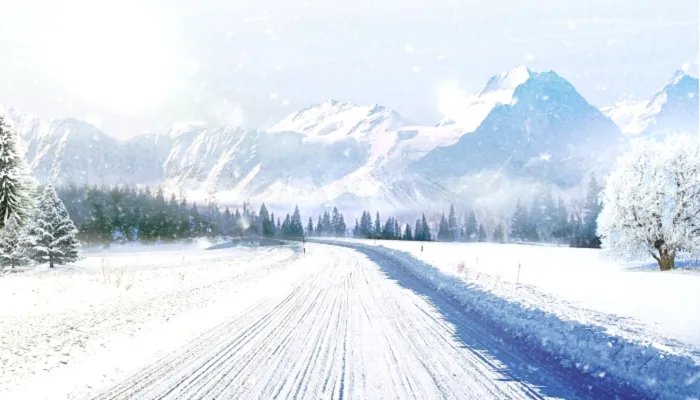 冬至是几月几号2021冬至 2021年冬至具体是哪一天