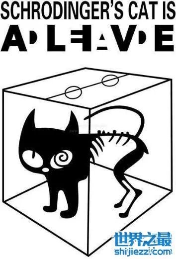 薛定谔的处女是什么意思,是不是处女试试就知道