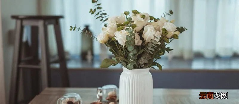 66朵白玫瑰花语，十九朵白玫瑰的花语？