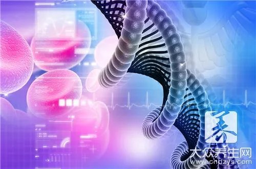 什么叫等位基因