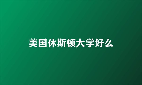 美国休斯顿大学好么