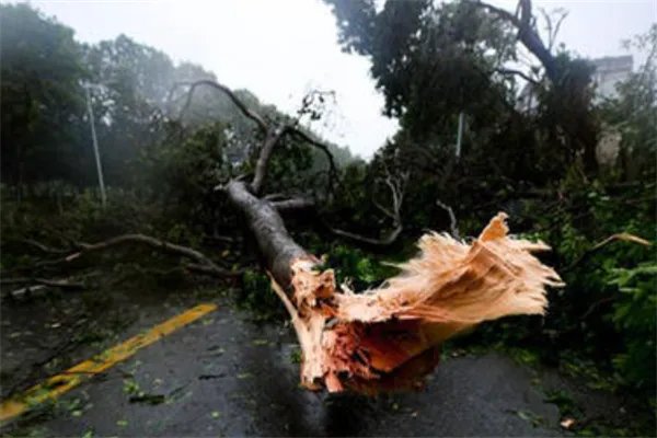 世界上最强台风排名:诺拉上榜 ,第四损失了6.94亿美元