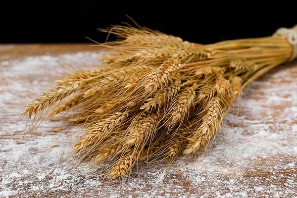 碳水食物有哪些