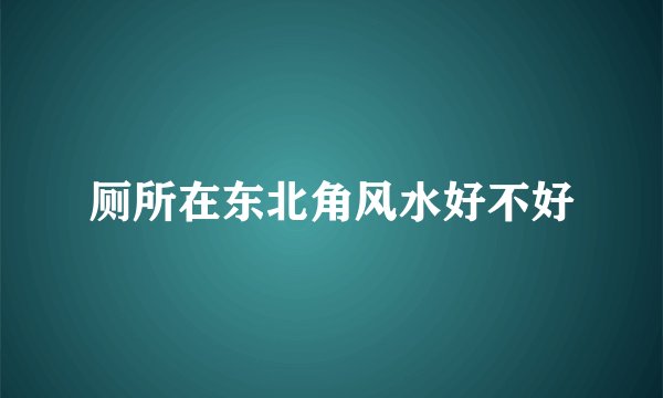 厕所在东北角风水好不好