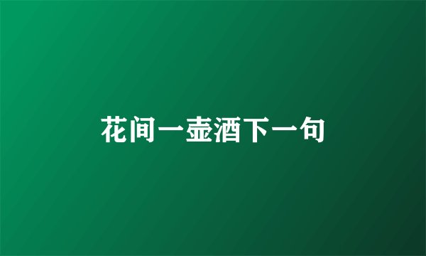 花间一壶酒下一句