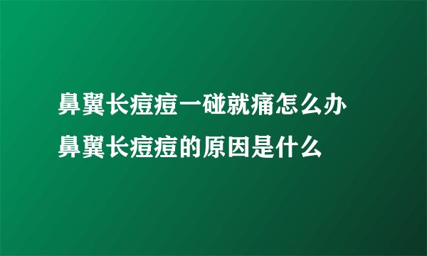鼻翼长痘痘一碰就痛怎么办 鼻翼长痘痘的原因是什么