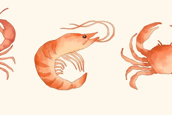 石榴皮煮水的功效是什么