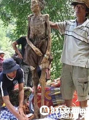 揭秘印度苏拉亚的部落巫术赶尸的秘密