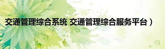 交通管理综合系统 交通管理综合服务平台）