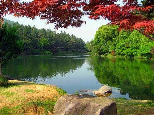 安吉旅游景点排名前十有哪些？